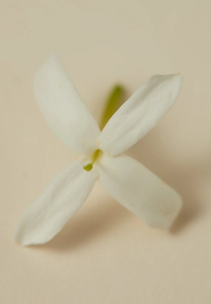 Jasmine Facial Mist
